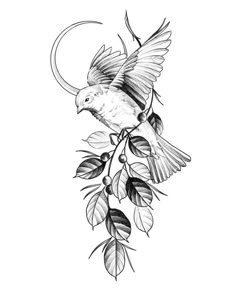 a drawing of a bird on a branch with leaves