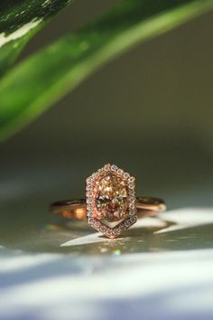 A one-of-a-kind champagne diamond engagement ring from Staghead Designs sits on a windowsill. This 14K rose gold engagement ring features an 8x6mm oval cut champagne diamond center stone & a geometric elongated hexagon-shaped diamond halo. Hexagon Halo Ring, Whiskey Barrel Wedding Ring, Hexagon Halo, Antler Wedding Rings, Champagne Diamonds Engagement, Champagne Diamond Rings, Engagement Ring Mountings, Handcrafted Engagement Ring, Wood Wedding Ring