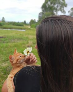 a woman holding an orange cat in her arms with a flower in it's mouth