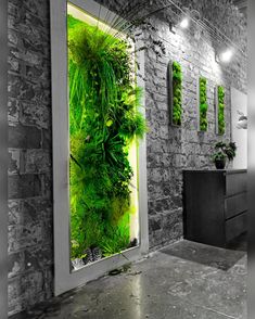 an open door with green plants on the wall and in front of it is a black and white photo