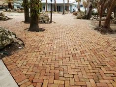 a brick walkway between two palm trees in front of a house