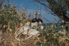 three bottles of liquor sitting on top of a pile of sand next to the ocean