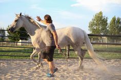 a person walking a white horse in an enclosed area