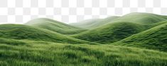 green hills with grass in the foreground