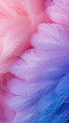 the feathers are pink, blue and purple