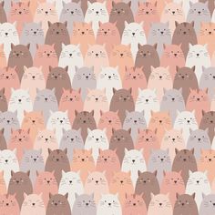 a large group of cats with different colors