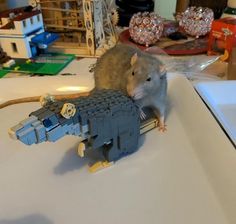 a rat sitting on top of a table next to a lego model