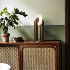 a potted plant sitting on top of a wooden cabinet