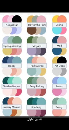 the color scheme for different shades of paint