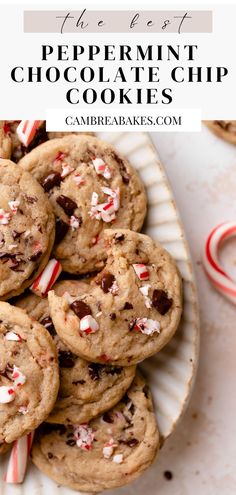 peppermint chocolate chip cookies in a pile after baking surrounded by candy canes. Peppermint Chocolate Chip Cookies, Bbq Dessert, Peppermint Chocolate, Christmas Food Desserts, Baked Dessert Recipes, Christmas Cooking, Baking Sweets, Cookies Recipes Christmas