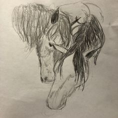 a drawing of a horse with long hair