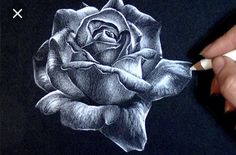 a person is drawing a rose on a piece of black paper with a white pencil