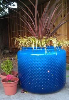 two potted plants sitting next to each other in front of a wooden fenced area