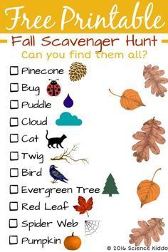 a printable fall scavenger hunt for kids