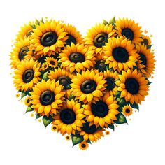 sunflowers arranged in the shape of a heart