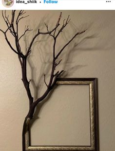 a bare tree with no leaves in front of a white wall and a gold frame hanging on the wall