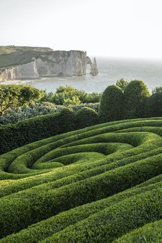 a large green hedge maze next to the ocean