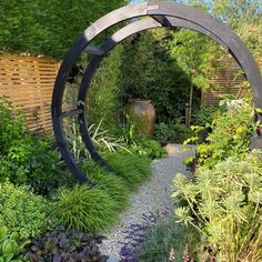 an outdoor garden with lots of plants and rocks in the ground, along with a circular arch