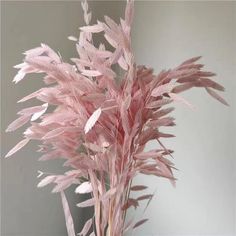 some pink flowers are in a vase on a white tablecloth with a gray wall behind it