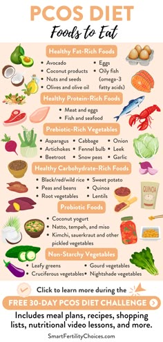 Here are some examples of foods to eat when making PCOS recipes. If you want to learn more, click through to sign up for my Free 30-Day PCOS Diet Challenge which includes weekly meal plans, recipes, shopping lists, video lessons, and more! Healthy Food Examples, Paleo Diet Meal Plan For Beginners, Reverse Insulin Resistance Diet Plan, Food For Reproductive Health, Holistic Diet Plan, Pocs Diet Meal Plan, What Foods To Eat While On Ozempic, Healthy Diet Plans For Women