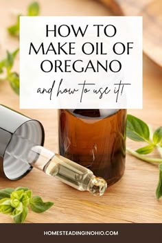 Oil Of Oregano Benefits, Make Oregano Oil, Oregano Benefits, Oil Of Oregano, Oregano Oil Benefits, Oregano Essential Oil