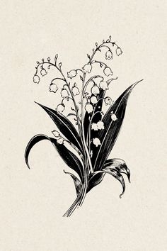 a black and white drawing of lily of the valley