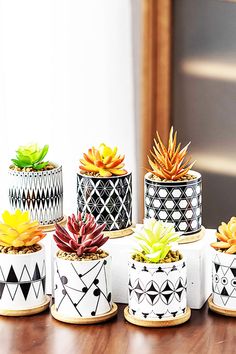 small pots with plants in them sitting on a table