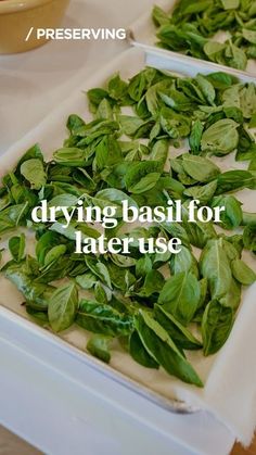 some green leaves are laying on top of each other and the words drying basil for later use