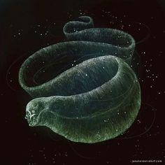 an artistic drawing of two snakes in the night sky