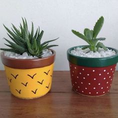 two potted plants sitting on top of a wooden table next to each other,