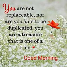 a red flower sitting in the middle of a field with a quote on it that says, you are not replaceable, norreplace able to be duplicated