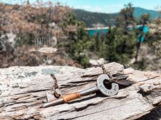 an old rusty key sitting on top of a piece of wood next to some trees