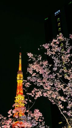 the eiffel tower lit up at night with cherry blossom trees in foreground