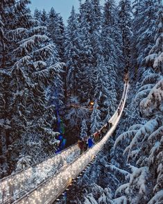 people walking across a suspension bridge in the middle of snow covered trees at night time