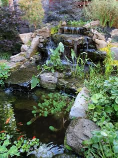 a small pond surrounded by rocks and plants