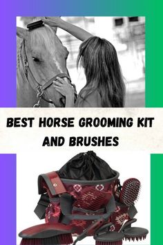 the best horse grooming kit and brushes are in this photo, with an image of a woman petting a horse