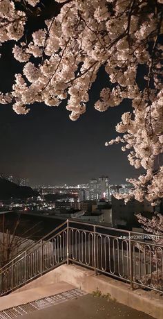 the city lights shine brightly in the background as cherry blossoms are blooming on trees