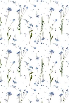 blue flowers and green leaves on a white background