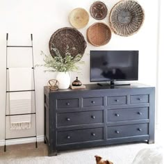 a dog sitting on the floor in front of a dresser with baskets hanging above it