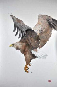 an eagle flying through the air with its wings spread