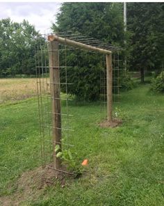 a wooden trellis in the middle of a grassy area with trees and bushes behind it