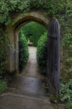 an open door leading into a lush green tunnel with ivy growing on the walls and walkway