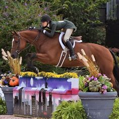 a person jumping a horse over an obstacle in a field full of flowers and plants