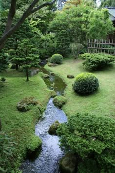 a small stream running through a lush green yard with trees and bushes in the background