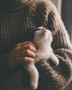 a person holding a white and black cat in their arms while wearing a ring on it's finger