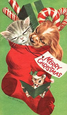 a cat and dog are in a sack with candy canes