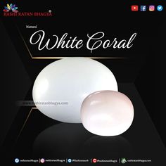 white coral stone The Immune System, Get It Now, Immune System