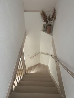 there is a plant on top of the stair railing in this house's stairwell