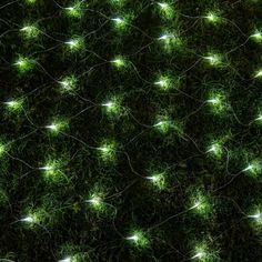 green grass with white lights on it