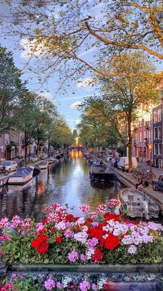 an image of a canal with boats and flowers in the foreground that says perfoctiona let's estate non caleda